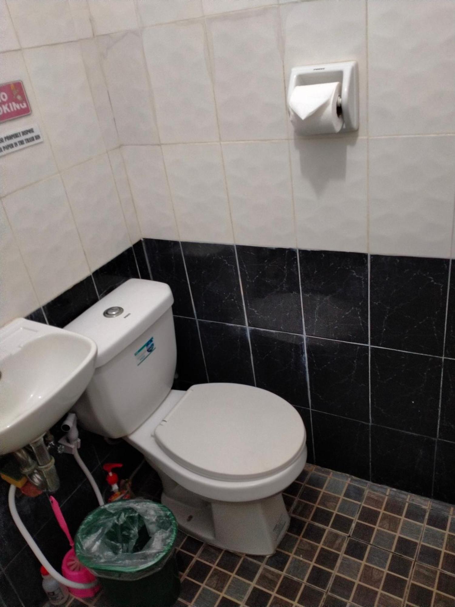 V.F. Riton Apartelle Laoag Værelse billede